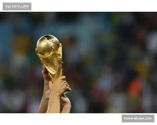 C罗第五次出征世界杯 葡萄牙巨星向生涯首座大力神杯冲刺